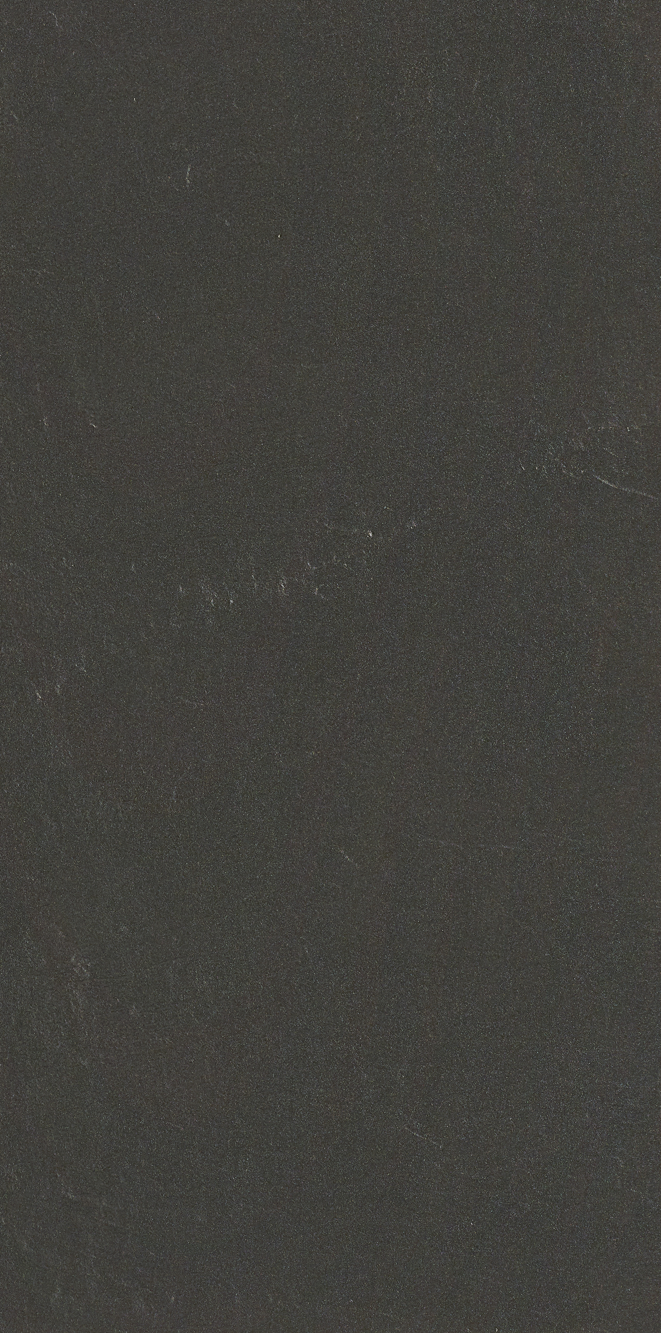 Xisto Preto 29,5 x 59,2 см