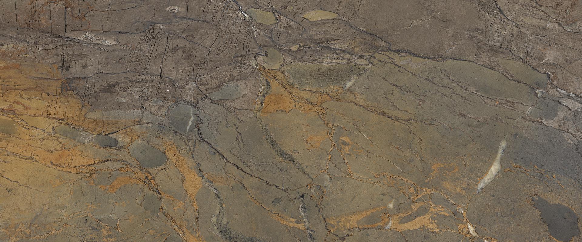 Fossil Brown Malevic