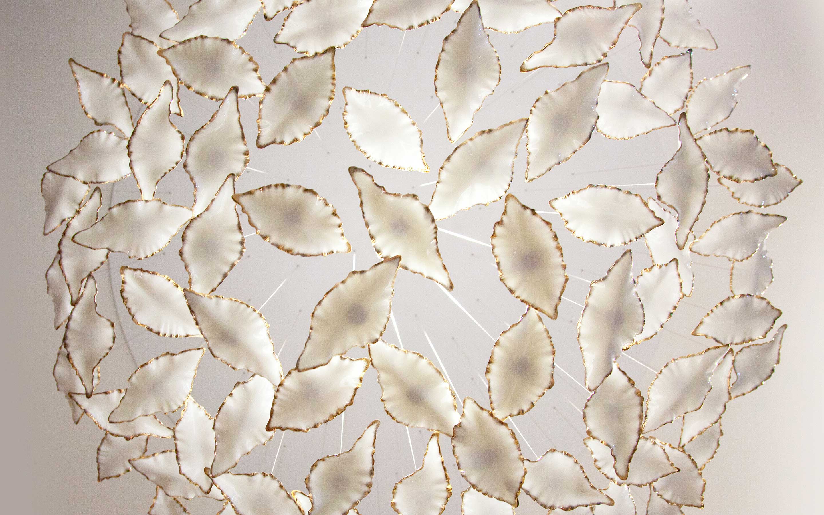 LEAF